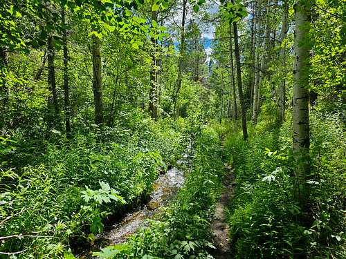 On Lake Fork Trail