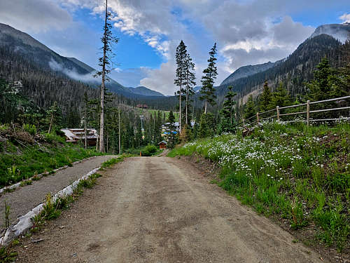 Start of Wheeler Peak trail