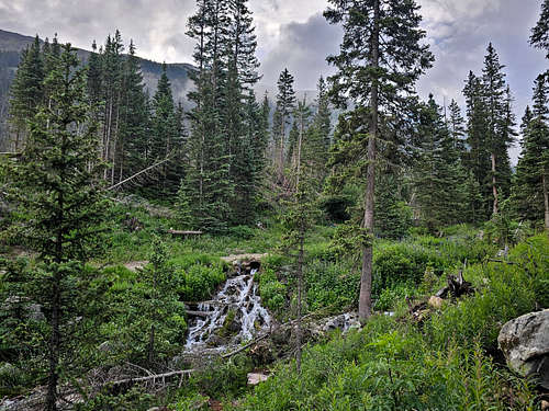 On Wheeler Peak Trail