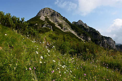 Monte Arvenis