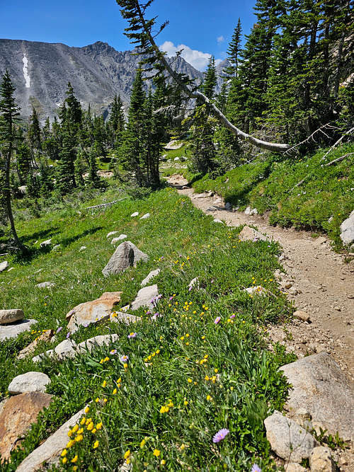 Niwot Ridge and Navajo Peak