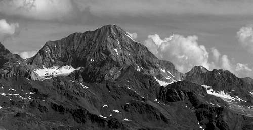 Gran Zebrù seen from Monte Gavia