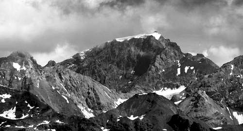 Ortles seen from Monte Gavia