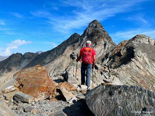 Ridge between the fore-summits, Monte Gavia