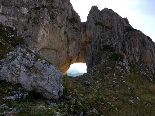 Šuplja vrata (Karanfili)