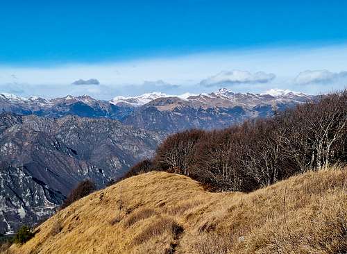 Monte Manos -  Western view (Adamello)