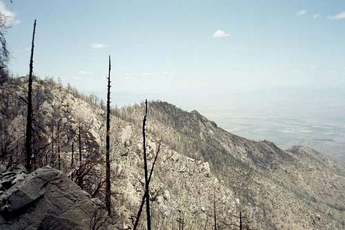 A view of a burned-out ridge...