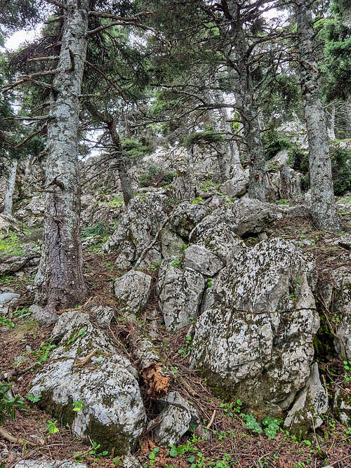 The limestone begins higher up.
