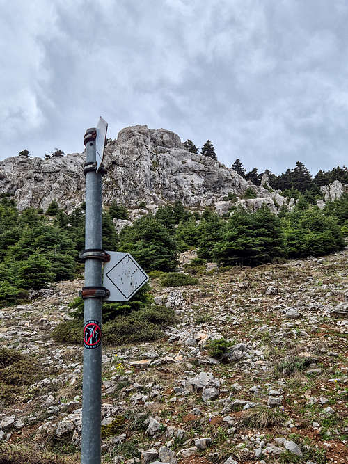 Our first look of the limestone ridge.