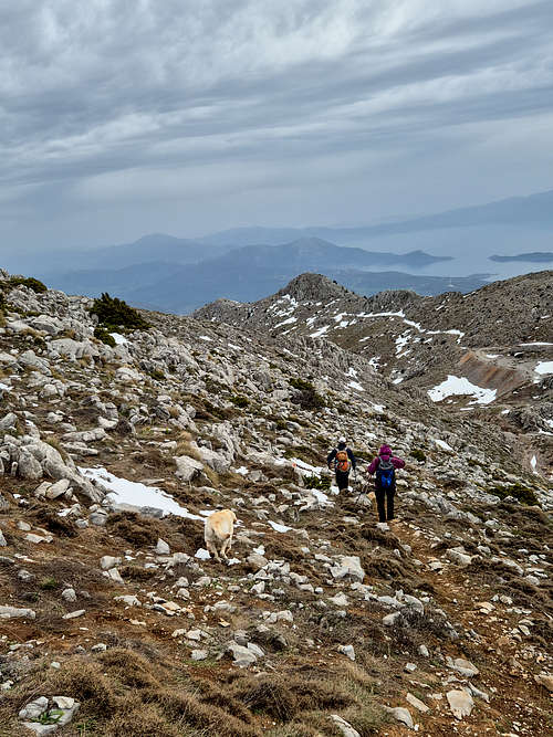 Mysterious locals & their dog.