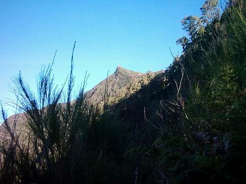Mount Arjuno peak and summit...