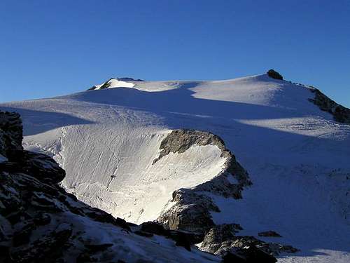 Monte Vioz seen from the...