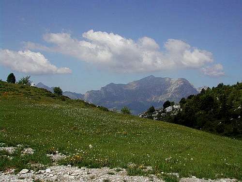 the Grigne ridge from Piani...