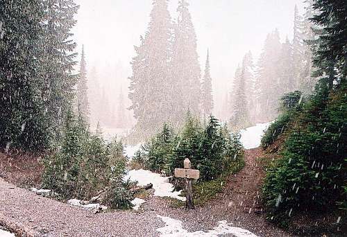 Heavy snowfall in June at the...