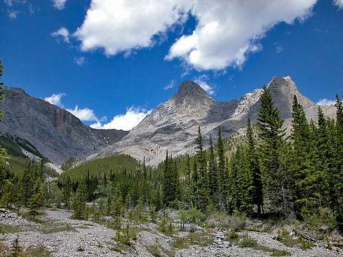 Mount Fable from the creek...