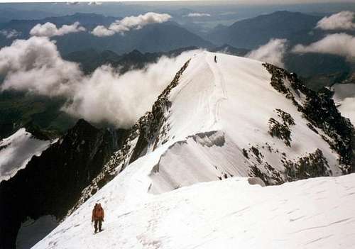Summit ridge from Weissmies