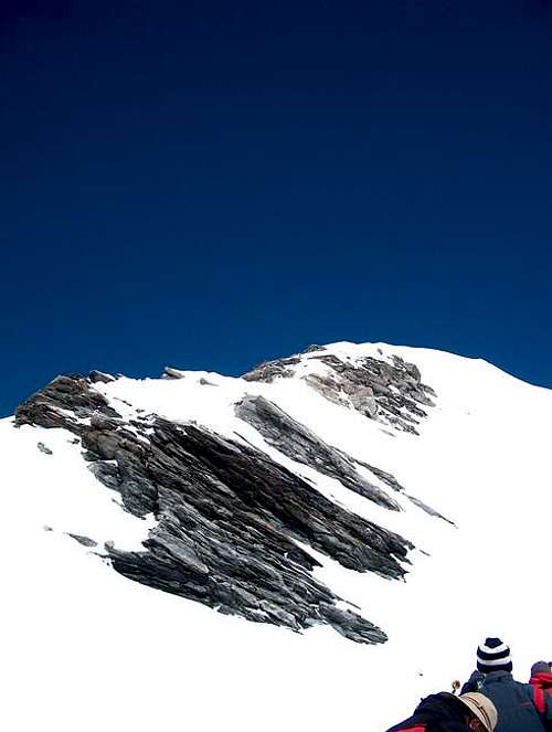 The snow - ridge (of the...