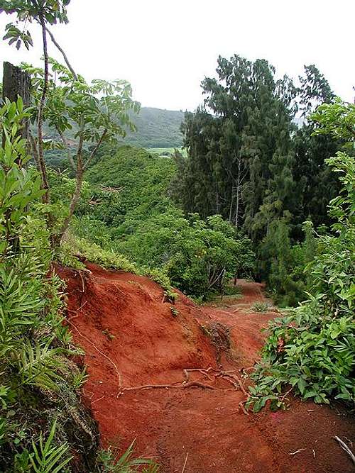 Erosion has exposed a lot of...