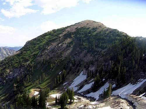 July 25th, 2005 - Mt Baldy...