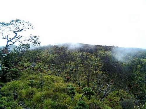 Summit from Post 5.