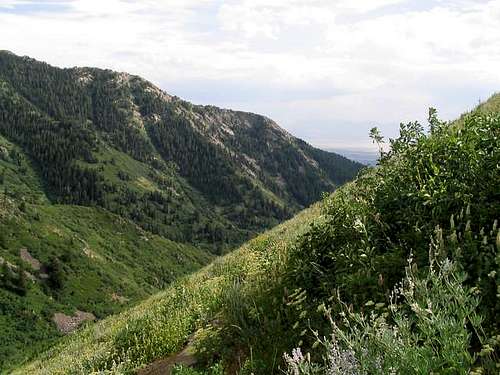 Beus canyon trail. Photo is...