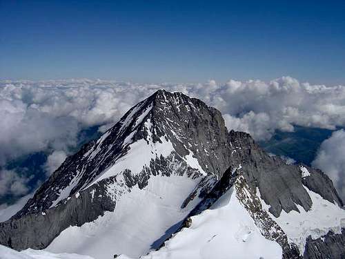 Eiger from the summit of...