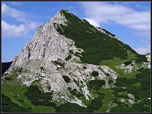 Svacica from south
