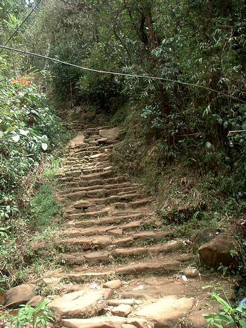 the trail...............