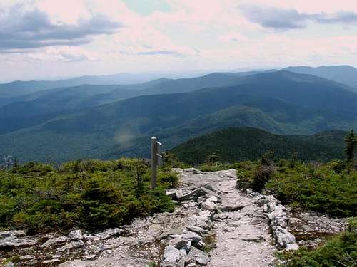 The Long Trail from Lincoln Gap