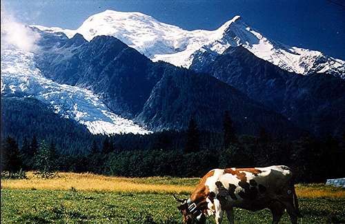 Classic view of Mont Blanc...