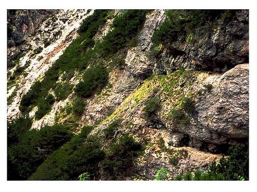 A slope of Valle dei Canopi...