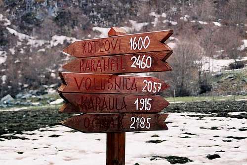 Where to go?