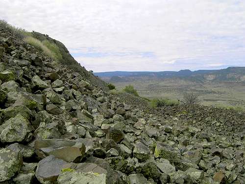 A picture of the scree slope...