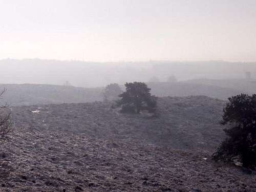 Frosty mist over Veluwe Hills