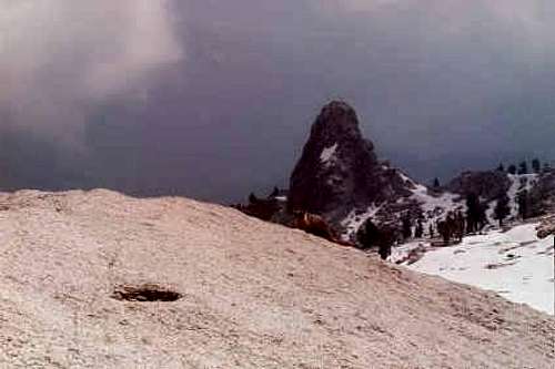 A hungry marmot at the summit...