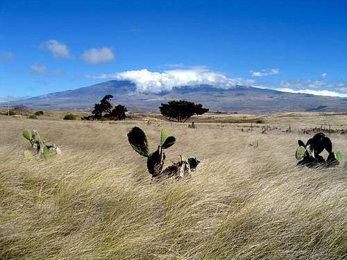 Mauna Kea's summit shrouded...