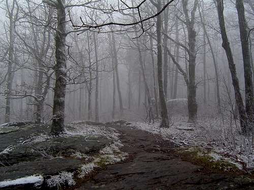Here's the trail on a foggy...