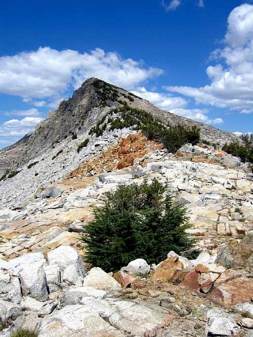 Craig Peak, South Ridge