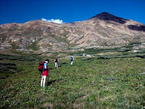 Small group of hikers in the...