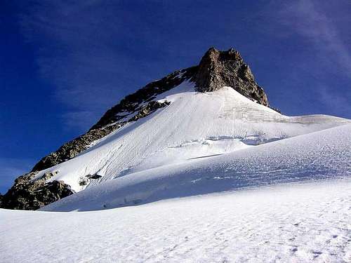The summit of Mont Dolent.