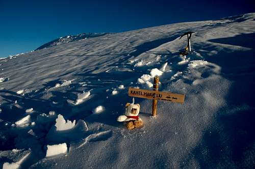 Mountain Area Mont Blanc - in memory of Rahel