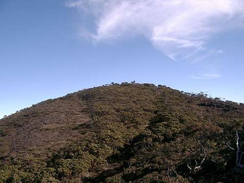 Gunung Rantemario (Mount Latimojong)