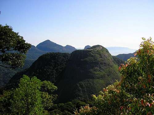 Tijuca Forest Mountains