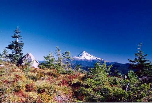 A view of Mt. Hood from the...