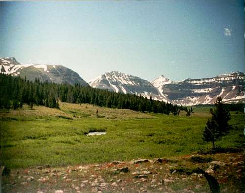 Henrys Fork/Anderson Pass