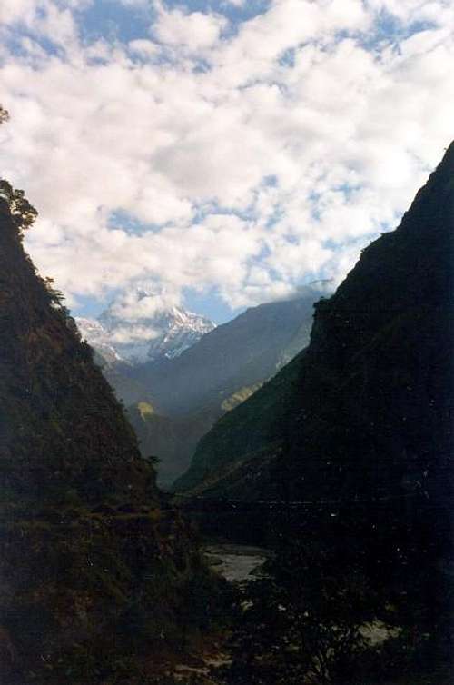 Nilgiri (7071 m), one of many...
