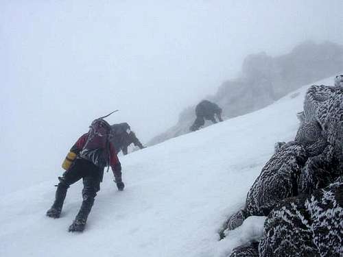 Summit day on Sargents Ridge....