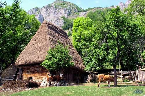 house in Trascau mountains
