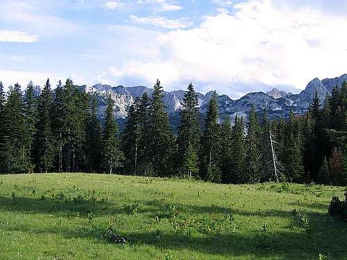 Durmitor peaks from the...