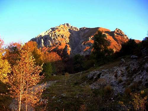 Southern grigna from Porta...